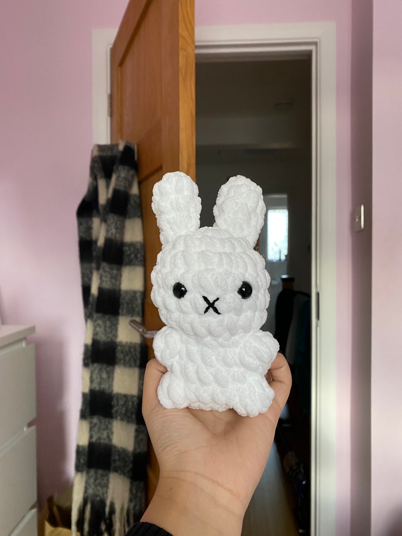 May include: A white, handmade crochet bunny with black eyes and a black 'X' for a mouth. The bunny has long ears and a fluffy texture. The plush toy is held in front of a door and a black and white scarf.