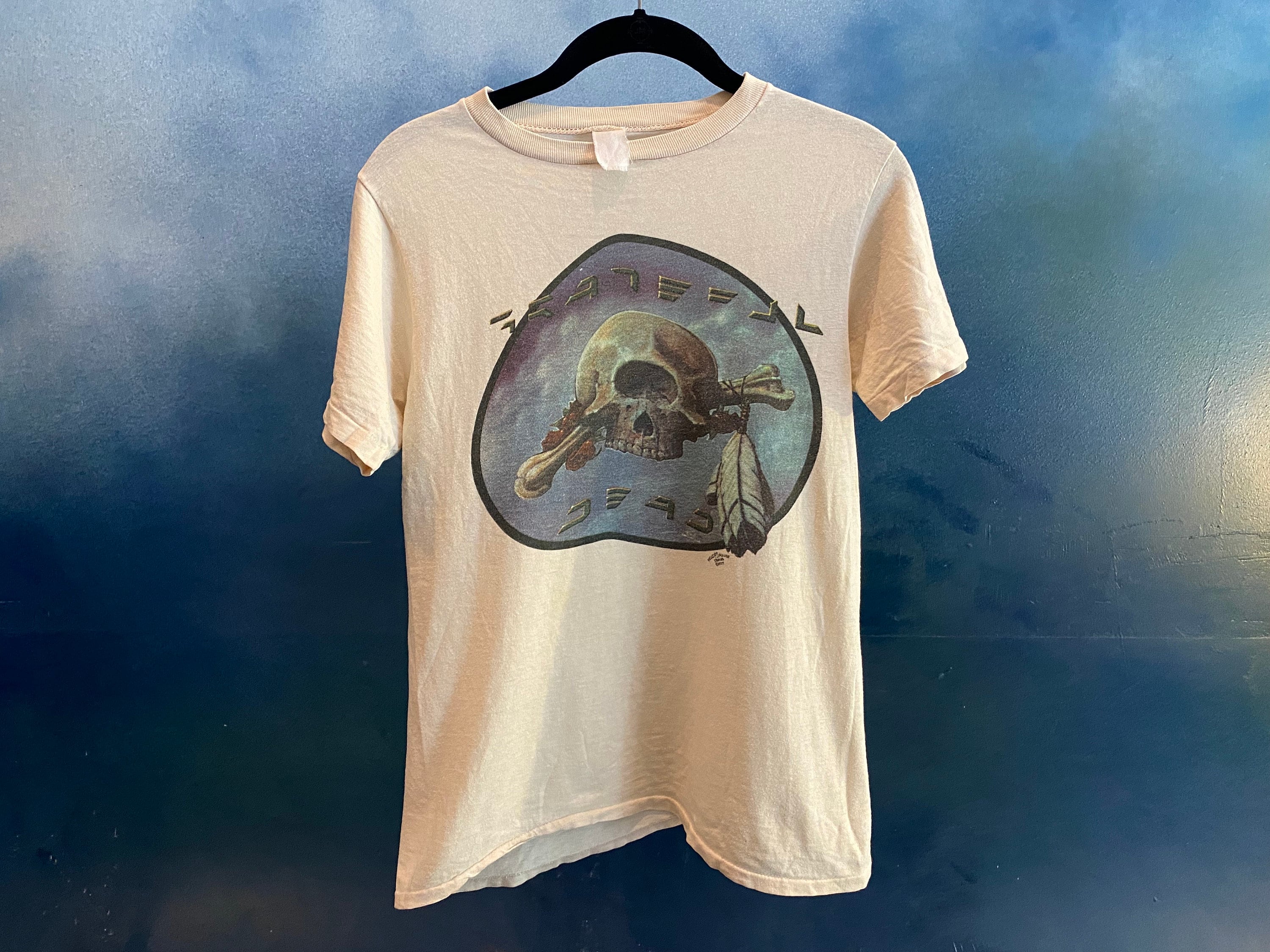 Grateful Dead Vintage 1970s Cyclops Skull Shirt - Etsy Sweden
