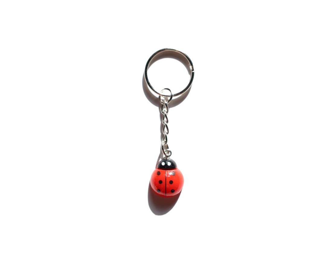 Little Ladybug Keychain-mini Bug Keychain-tiny Bug Charm-ladybug ...