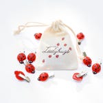 Ladybug Accessories
