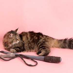 May include: A brown tabby cat with green eyes lies on a pink background, looking at a grey and brown cat toy shaped like a fish.
