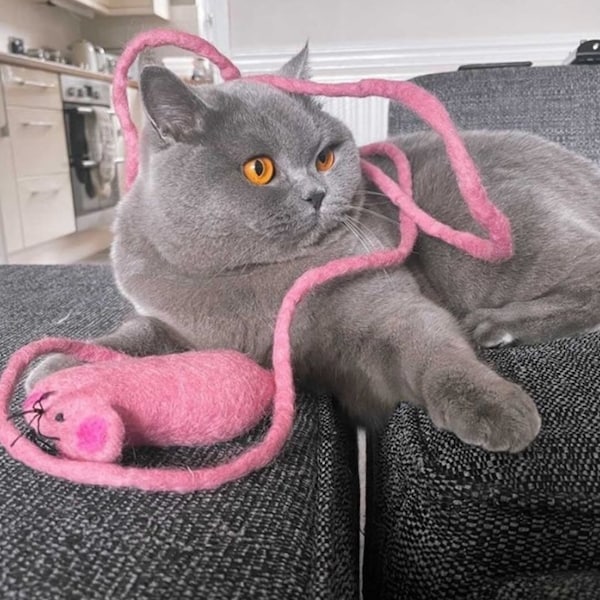 Katzenspielzeug, handgefertigte Filzmaus, interaktives Katzenspielspielzeug – mit 2 m Schwanz aus 100 % Wolle
