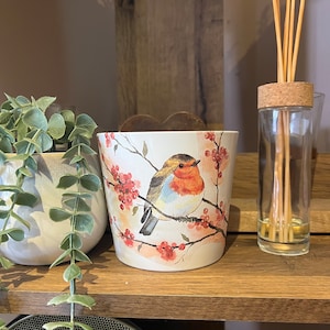 Puede incluir: Un macetero de cerámica blanca con un diseño de petirrojo y bayas rojas. El macetero está en un estante de madera con un frasco de vidrio de varillas difusoras.