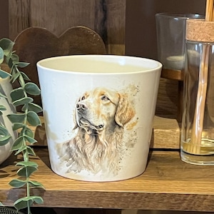 Varias hermosas macetas de cerámica de Golden Retriever.