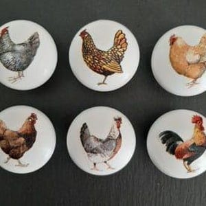Może przedstawiać: Sześć ceramicznych gałek z różnymi ilustracjami kur i koguta. Gałki są białe z błyszczącym wykończeniem. Kury są przedstawione w różnych kolorach i wzorach, w tym brązowym, szarym i białym.