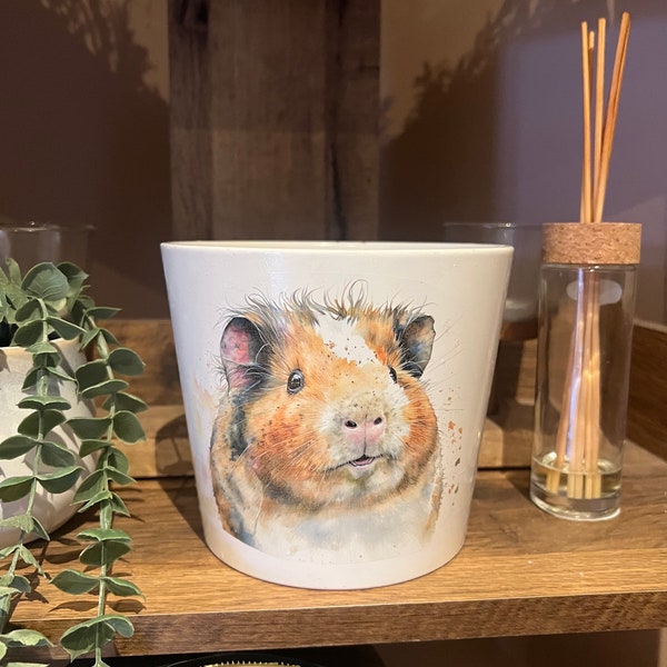 Stunning Various Guinea pig Ceramic pots. Available 3 sizes