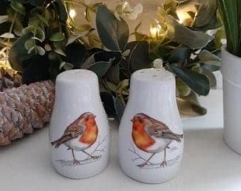 Stunning Robin Decoupaged salt and pepper shakers.
