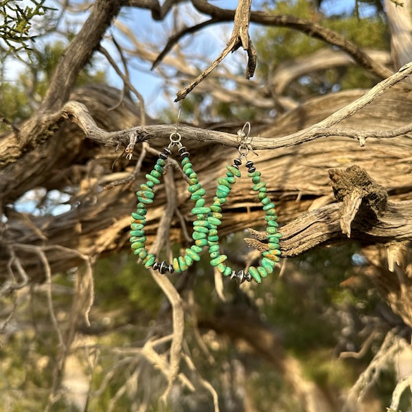 The Moab Earrings- Tyrone Turquoise and Sterling Saucers