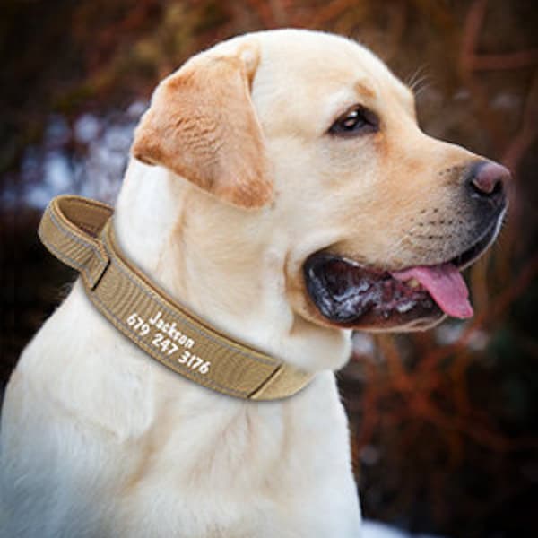 Personalized  Dog Collar Custom Military Dog Collar Tactical Dog Collar
