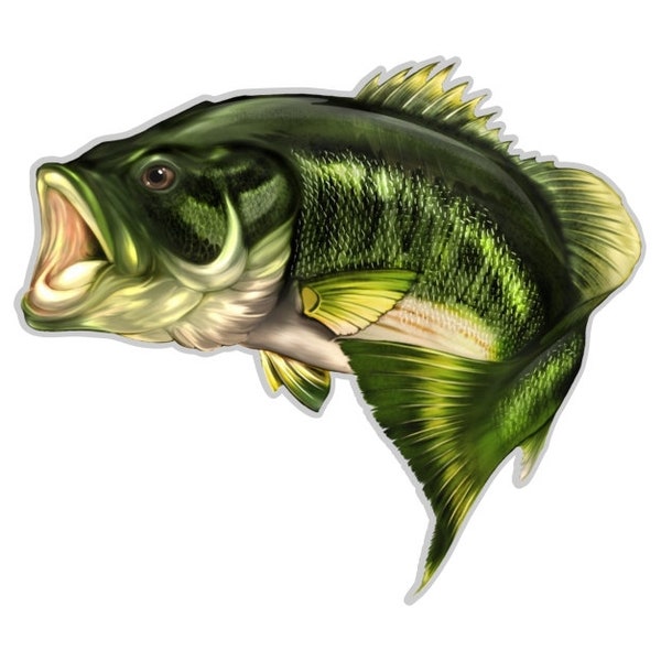 Largemouth Bass Fish Decal