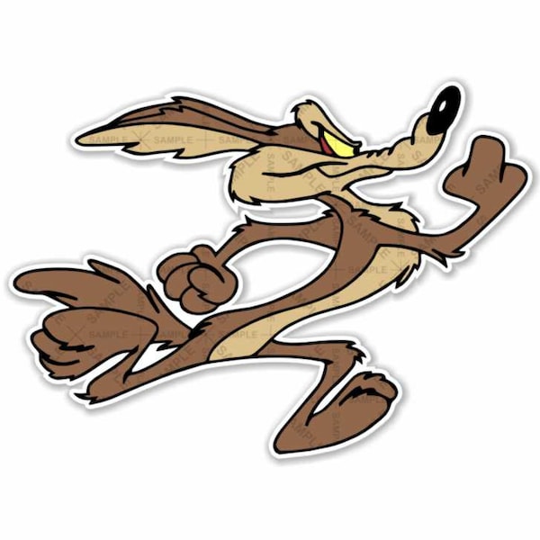 wile e coyote shoes