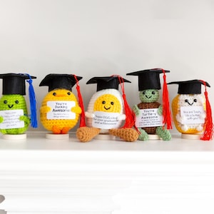 May include: A row of five crocheted figures wearing graduation caps. The figures include a green creature, a yellow duck, a white egg, a green turtle, and a yellow figure. Each holds a sign with a pun.