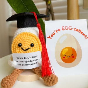 Crochet Egg Potato| Egg-cellent|Handmade Emotional Support Gift| Graduate Day | Crochet Gift
