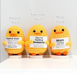 Emotional Support Crochet Fruits, Animals, Vegetables, Positive Crochet Desk Buddies, Positive  Gift, Gift for Her, Christmas, New Year Gift