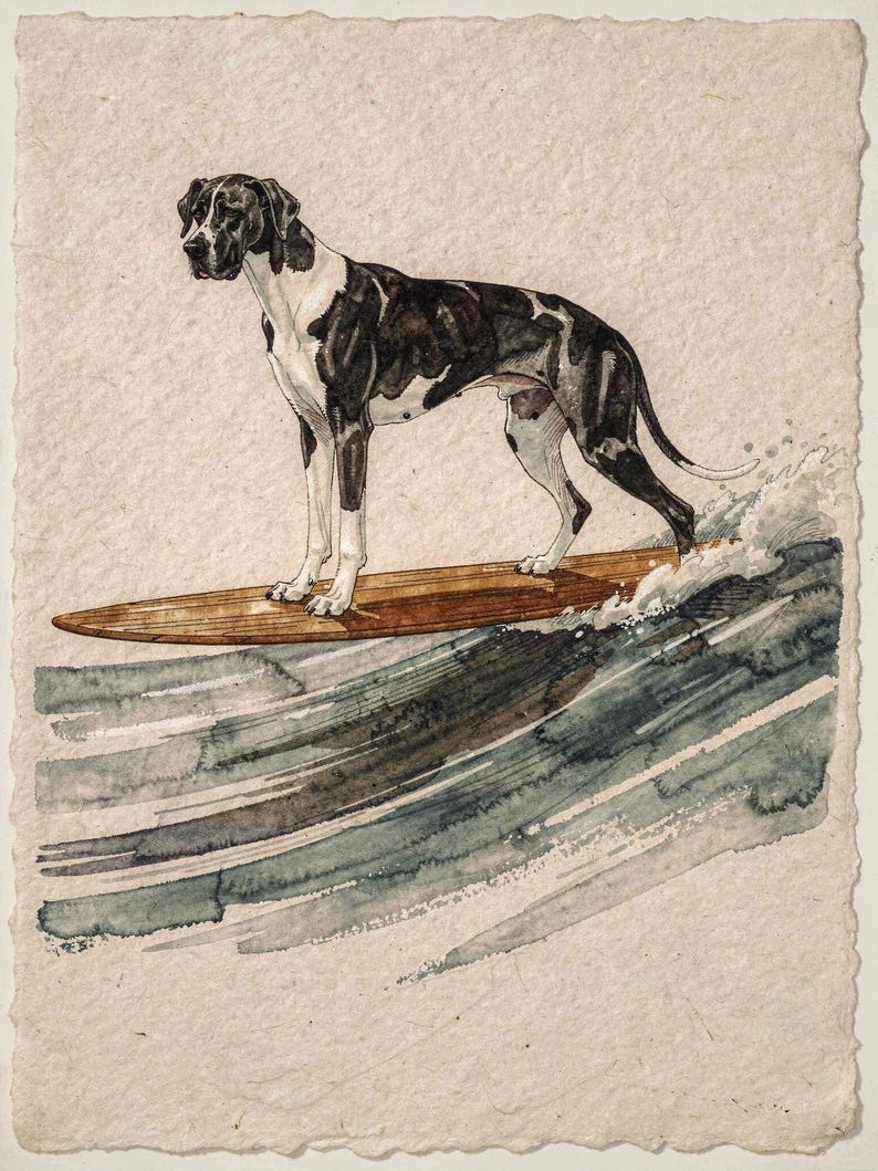 Great Dane surfing art, full artwork: watercolor and ink harlequin Great Dane on a wooden longboard riding a long wave.
