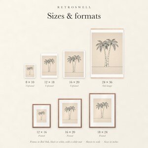 Sizes and formats for Palm Tree Line, shown to scale: unframed prints, oak hanger and framed prints.