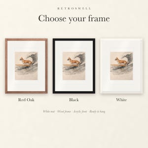 Frame options for Corgi Surfing: Red Oak, black and white wood frames, each with a white mat.
