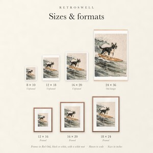 Sizes and formats for Boston Terrier Surfing, shown to scale: unframed prints, oak hanger and framed prints.