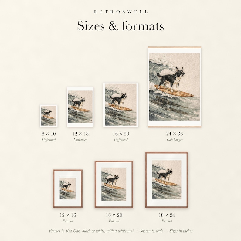 Sizes and formats for Boston Terrier Surfing, shown to scale: unframed prints, oak hanger and framed prints.