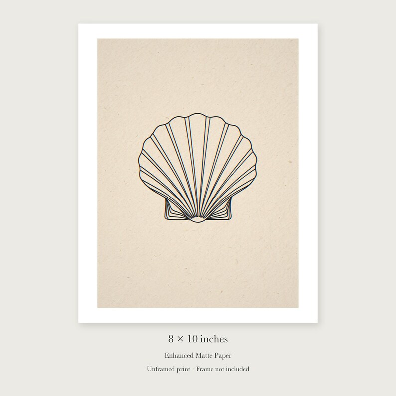 Seashell Line unframed 8 by 10 inch print on enhanced matte paper, shown with its white paper border.