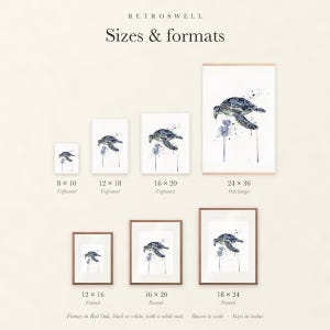 Sizes and formats for Sea Turtle Watercolor, shown to scale: unframed prints, oak hanger and framed prints.