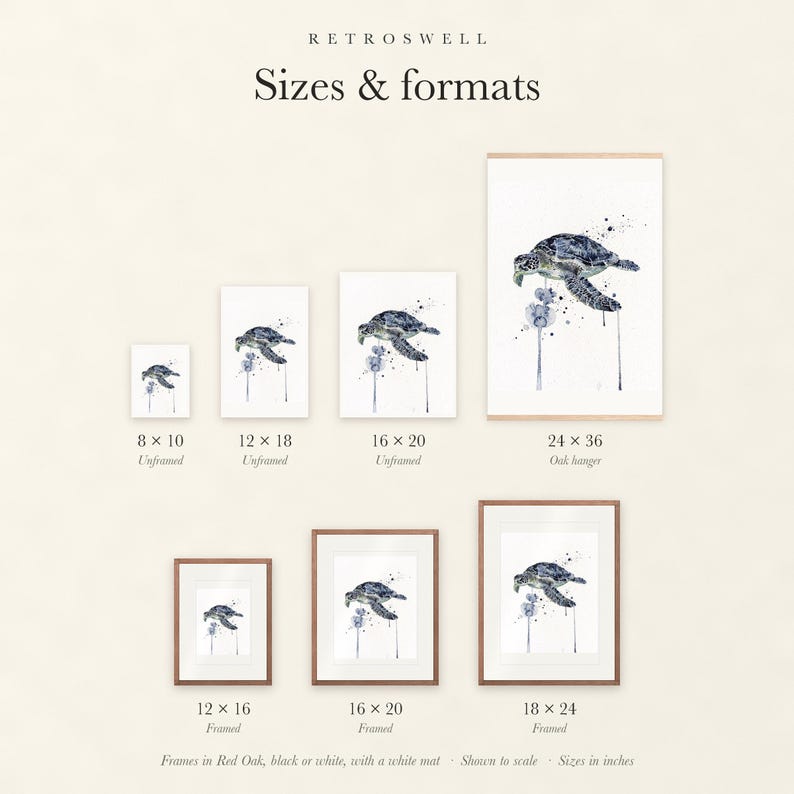 Sizes and formats for Sea Turtle Watercolor, shown to scale: unframed prints, oak hanger and framed prints.