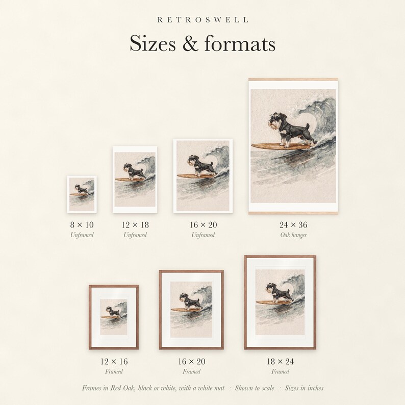 Sizes and formats for Miniature Schnauzer Surfing, shown to scale: unframed prints, oak hanger and framed prints.