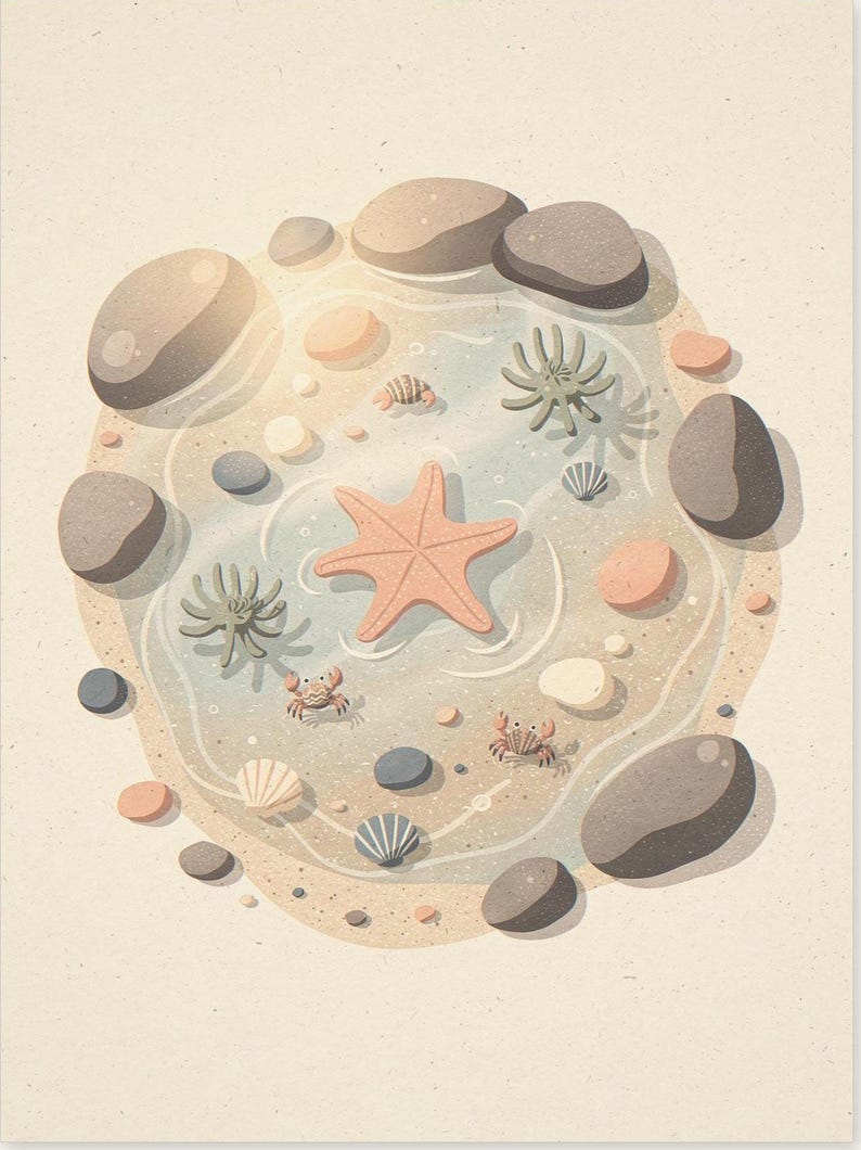 Tide Pool Art Print