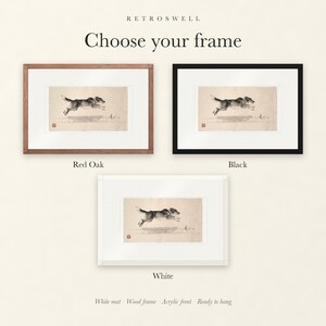 Frame options for Dog Chasing a Stick Xieyi Ink: Red Oak, black and white wood frames, each with a white mat.