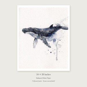 Humpback Whale unframed 16 by 20 inch print on enhanced matte paper, shown with its white paper border.