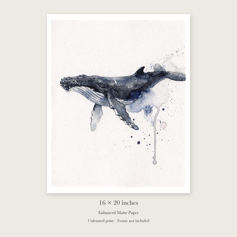 Humpback Whale unframed 16 by 20 inch print on enhanced matte paper, shown with its white paper border.