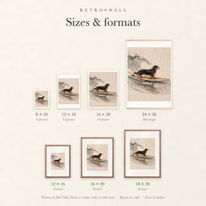 Sizes and formats for Bernese Mountain Dog Surfing, shown to scale: unframed prints, oak hanger and framed prints.