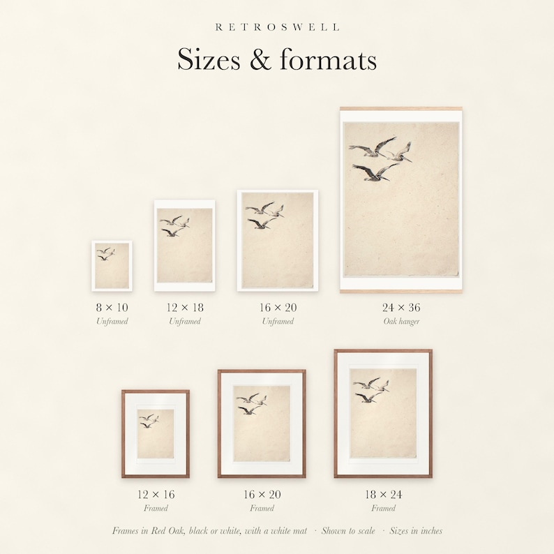 Sizes and formats for Flying Pelicans Ink Style, shown to scale: unframed prints, oak hanger and framed prints.