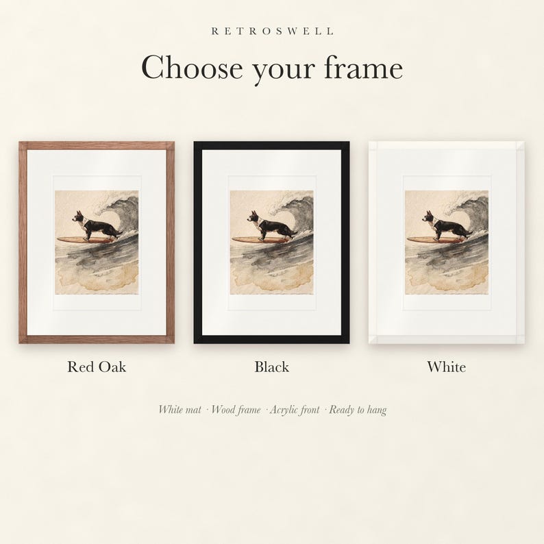 Border Collie Surfing Print