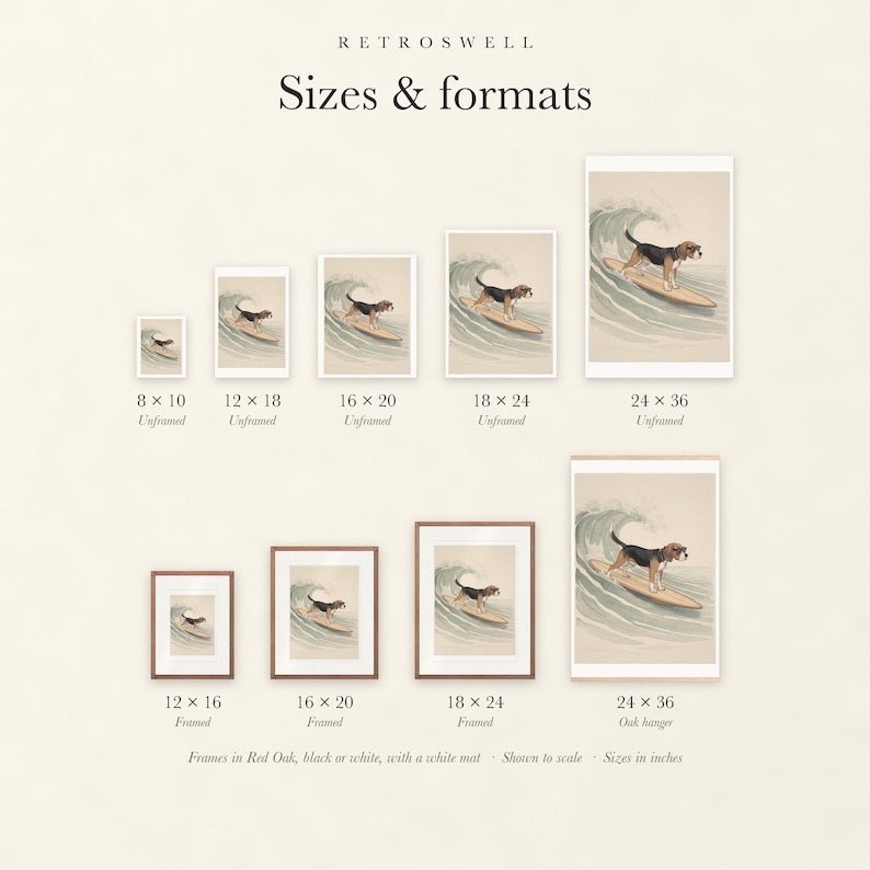 Sizes and formats for Beagle Surfing, shown to scale: unframed prints from 8 by 10 to 24 by 36 inches, oak hanger and framed prints.