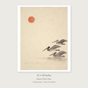 Pelicans Ink Style unframed 16 by 20 inch print on enhanced matte paper, shown with its white paper border.