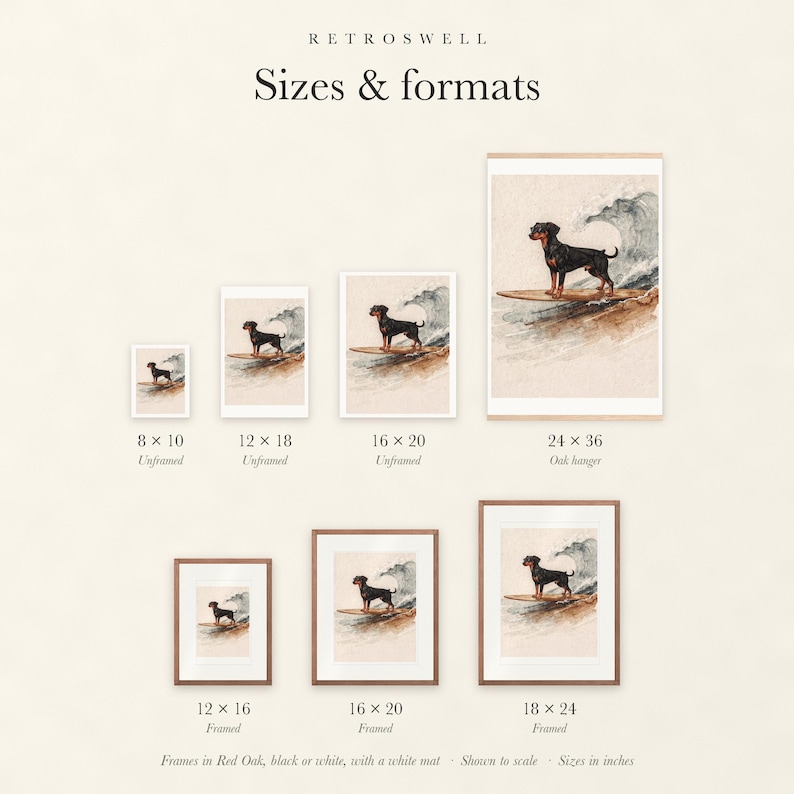 Sizes and formats for Doberman Surfing, shown to scale: unframed prints, oak hanger and framed prints.