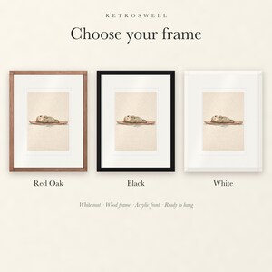 Frame options for Sea Otter on Surfboard: Red Oak, black and white wood frames, each with a white mat.