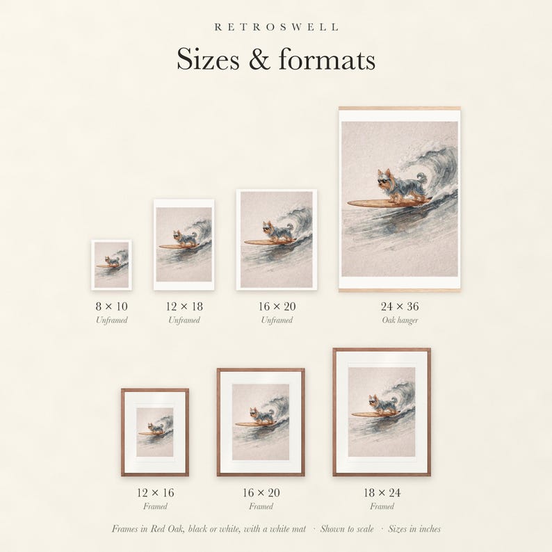 Sizes and formats for Yorkshire Terrier Surfing, shown to scale: unframed prints, oak hanger and framed prints.