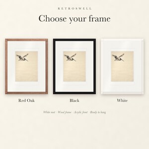Frame options for Flying Pelican Ink Style: Red Oak, black and white wood frames, each with a white mat.