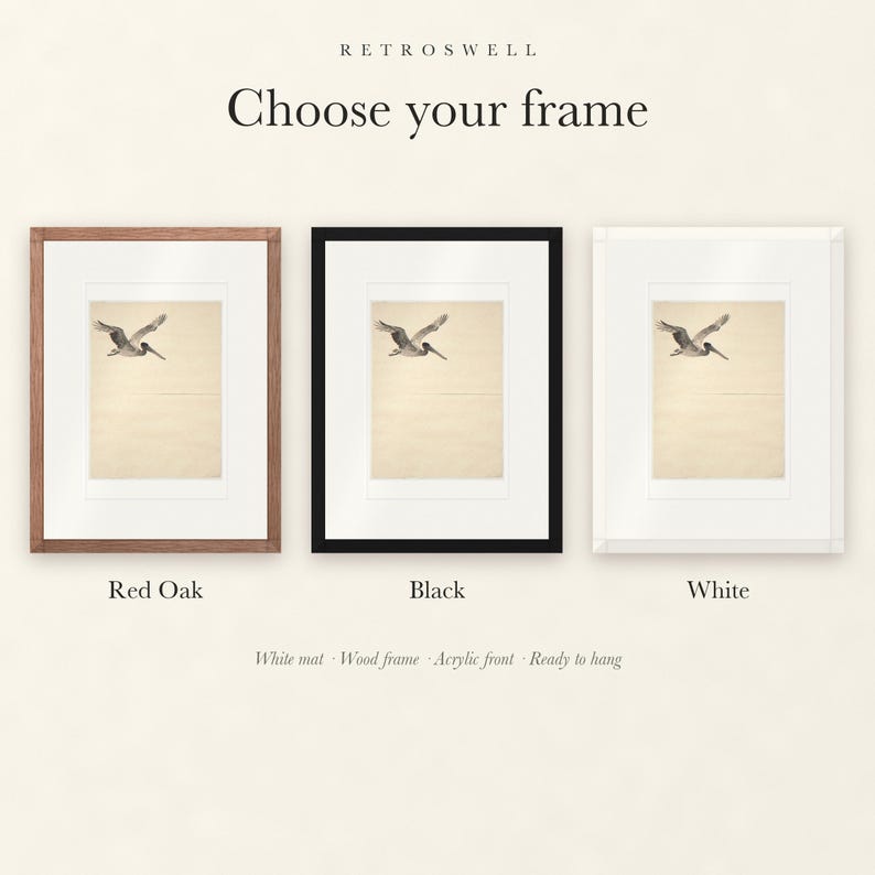 Frame options for Flying Pelican Ink Style: Red Oak, black and white wood frames, each with a white mat.