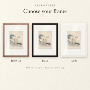 Frame options for Poodle Surfing: Red Oak, black and white wood frames, each with a white mat.