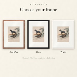 Frame options for Pit Bull Surfing: Red Oak, black and white wood frames, each with a white mat.