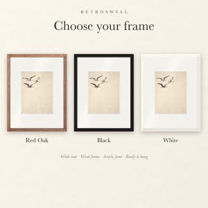 Frame options for Flying Pelicans Ink Style: Red Oak, black and white wood frames, each with a white mat.