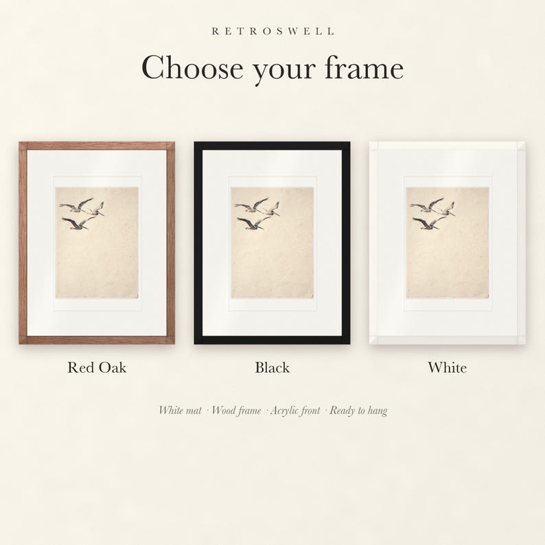 Frame options for Flying Pelicans Ink Style: Red Oak, black and white wood frames, each with a white mat.