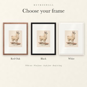 Frame options for Llama on a Longboard: Red Oak, black and white wood frames, each with a white mat.