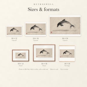 Sizes and formats for Leaping Dolphin Xieyi Ink, shown to scale: unframed prints, framed prints and the oak hanger.
