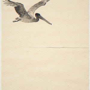 Flying pelican unframed printed artwork and full composition with its paper border.