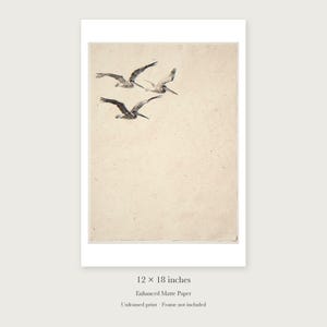 Flying Pelicans Ink Style unframed 12 by 18 inch print on enhanced matte paper, shown with its white paper border.