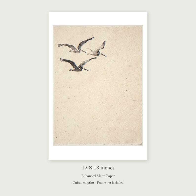 Flying Pelicans Ink Style unframed 12 by 18 inch print on enhanced matte paper, shown with its white paper border.
